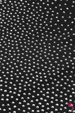 Bodysuit .  Black Rhinestone Embellished Mesh Long Sleeve Bodysuit.